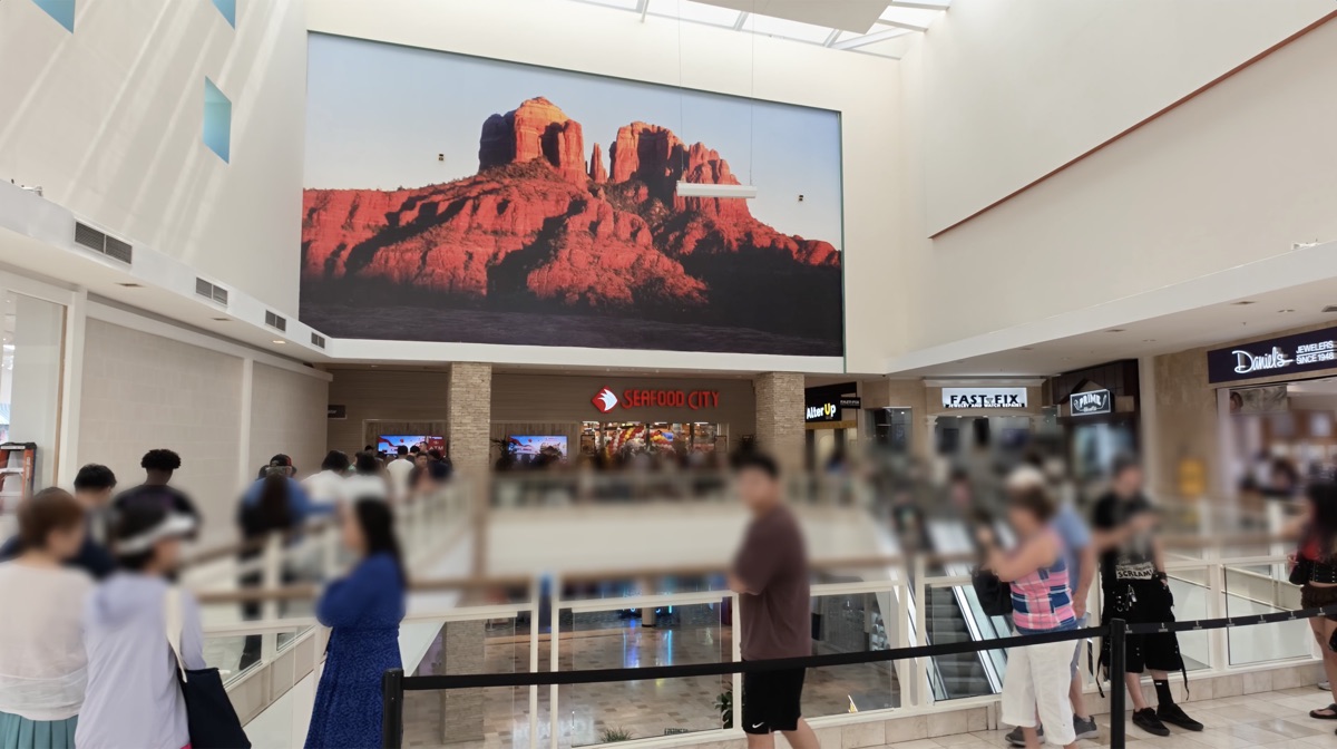 Line stretching into the Chandler Fashion Center mall