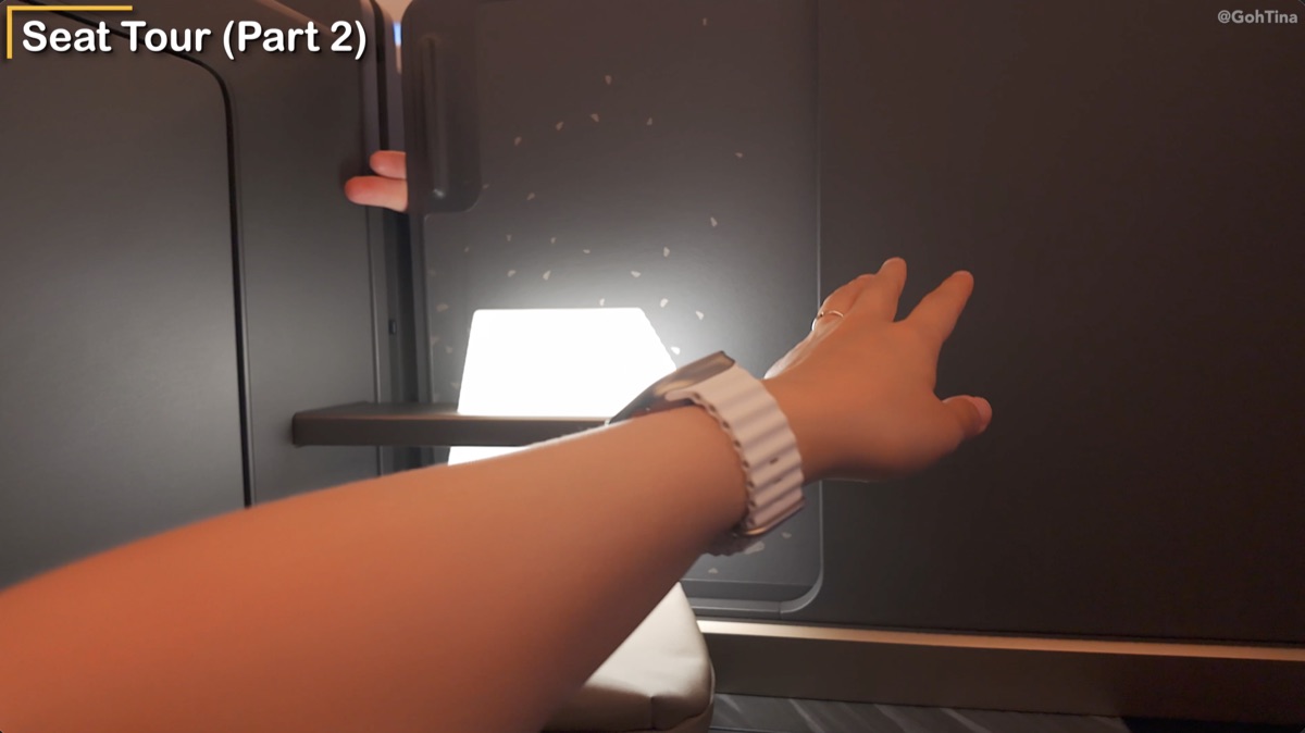 Fixed partition that makes sharing food across middle seats harder