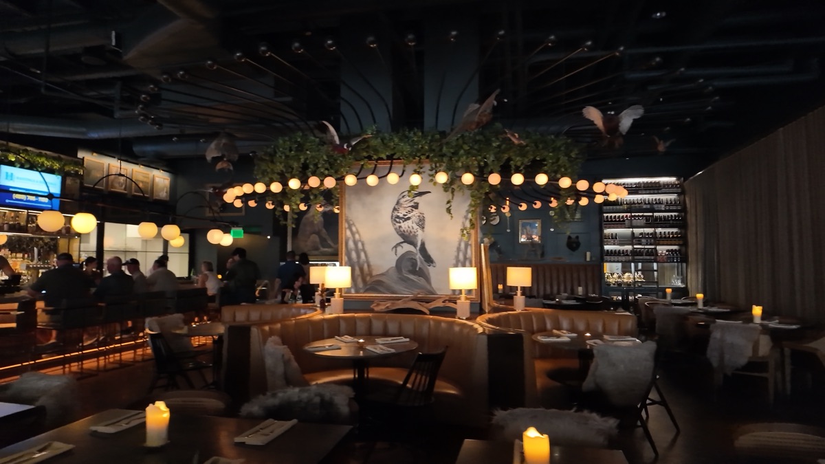 Wren and Wolf interior