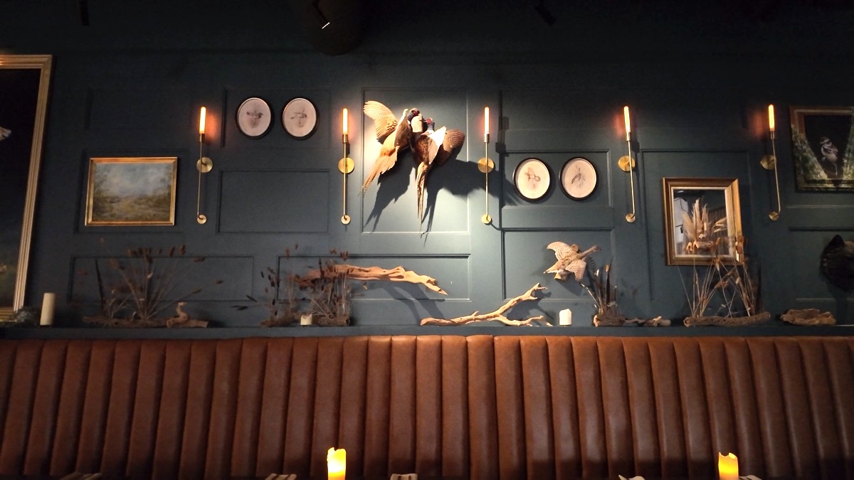 Wren and Wolf bar area