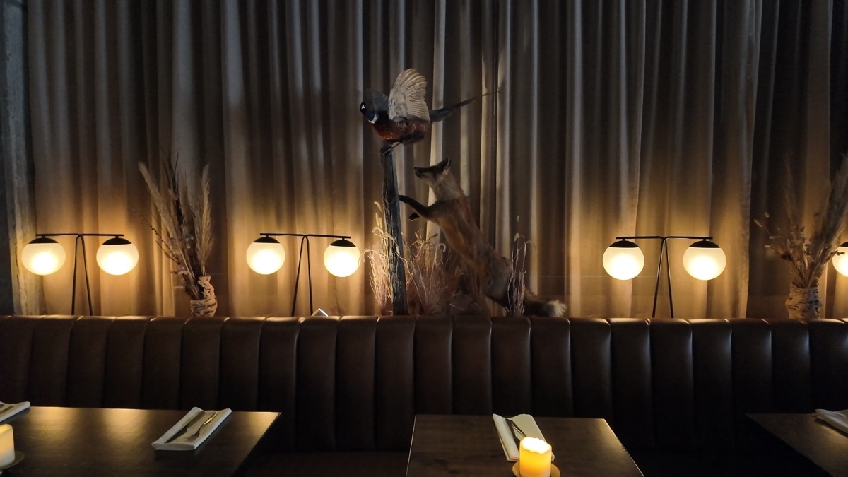 Wren and Wolf restaurant ambiance